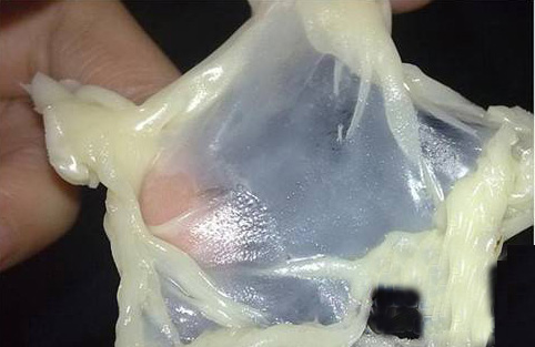 Ӫɹܵ