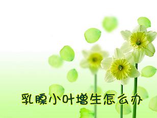 СҶô죿