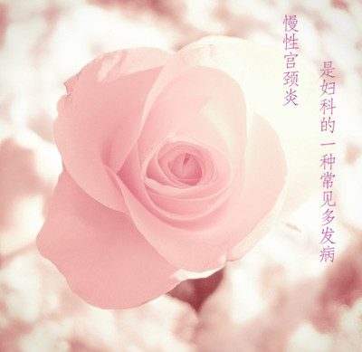 ǸƵһֳ෢