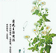 虚汗 中医
