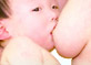 含乳姿势