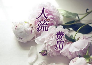 人流费用.png